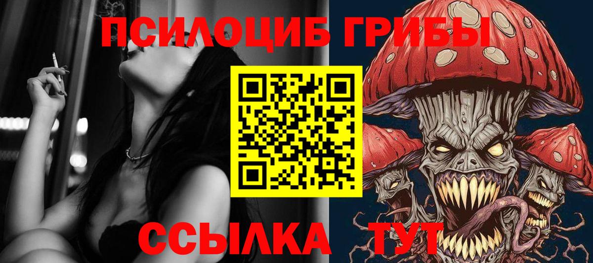 Псилоцибиновые грибы ЛСД Амурск